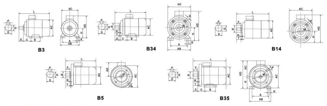 380V Ie2 Ms Series 180W Aluminum Housing Three-Phase Asynchronous Induction Electrical Motor